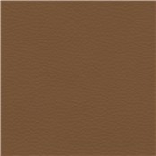 Abracadabra_Cognac