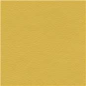 Abracadabra_Golden