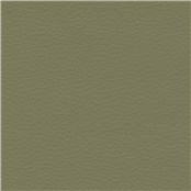 Abracadabra_Olive