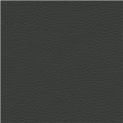 Abracadabra_Sable