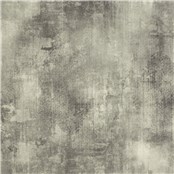 Acid_Wash_Dylan