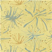 Anemone_Vitalize