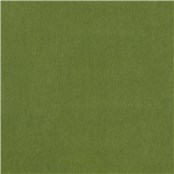 Angora_Mohair_Verdant