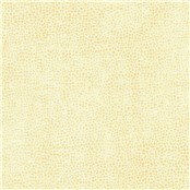 Animal_Gazelle