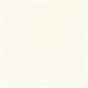 Animal_Polar_Bear