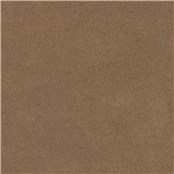 Antico_Bronze