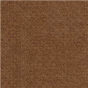 Arapahoe_Copper