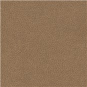 Biograin_Caramel