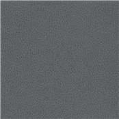 Biograin_Charcoal