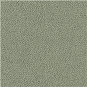 Biograin_Clover