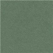 Biograin_Emerald