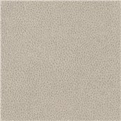 Biograin_Limestone