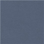 Biograin_Ocean