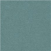 Biograin_Pooltide