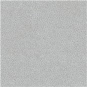 Biograin_Skylight
