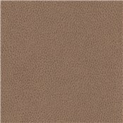 Biograin_Tamarind