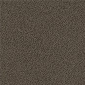 Biograin_Truffle