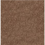 Brighton_Copper