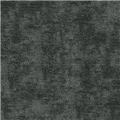 Brilliance_Coal
