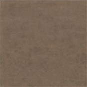 Brisco_Chocolate