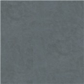 Brisco_Tidepool