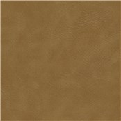 Britannia_Caramel