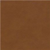 Britannia_Cinnamon