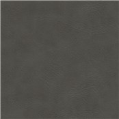 Britannia_Pewter