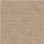 Calamus_Fawn