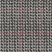 Caledonian_Firebrick