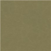 Cantina_Spring