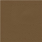 Couture_Caramel