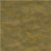 Dakota_Moss_Rock