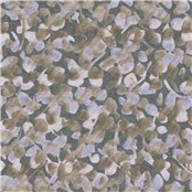 Dogwood_Gray