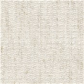 Epiphany_Snow