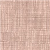 Etch_Rust