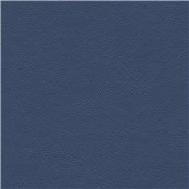 Evolution_Navy
