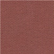 First_Class_Plum