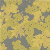 Koi_Lily_Reflect