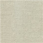 Larkspur_Foam