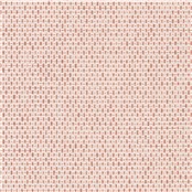 Lincoln_Coral