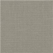 Muslin_Dove