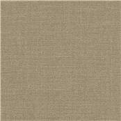 Muslin_Fossil