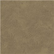 Mustang_Limestone