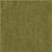 Northampton_Green