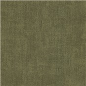 Northampton_Olive