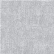 Northampton_Silver