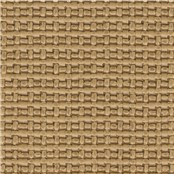 Palm_Beach_Hazel