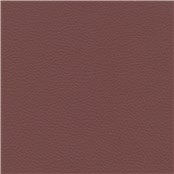 Palo_Alto_Larkspur