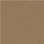 Pelle_Caramel